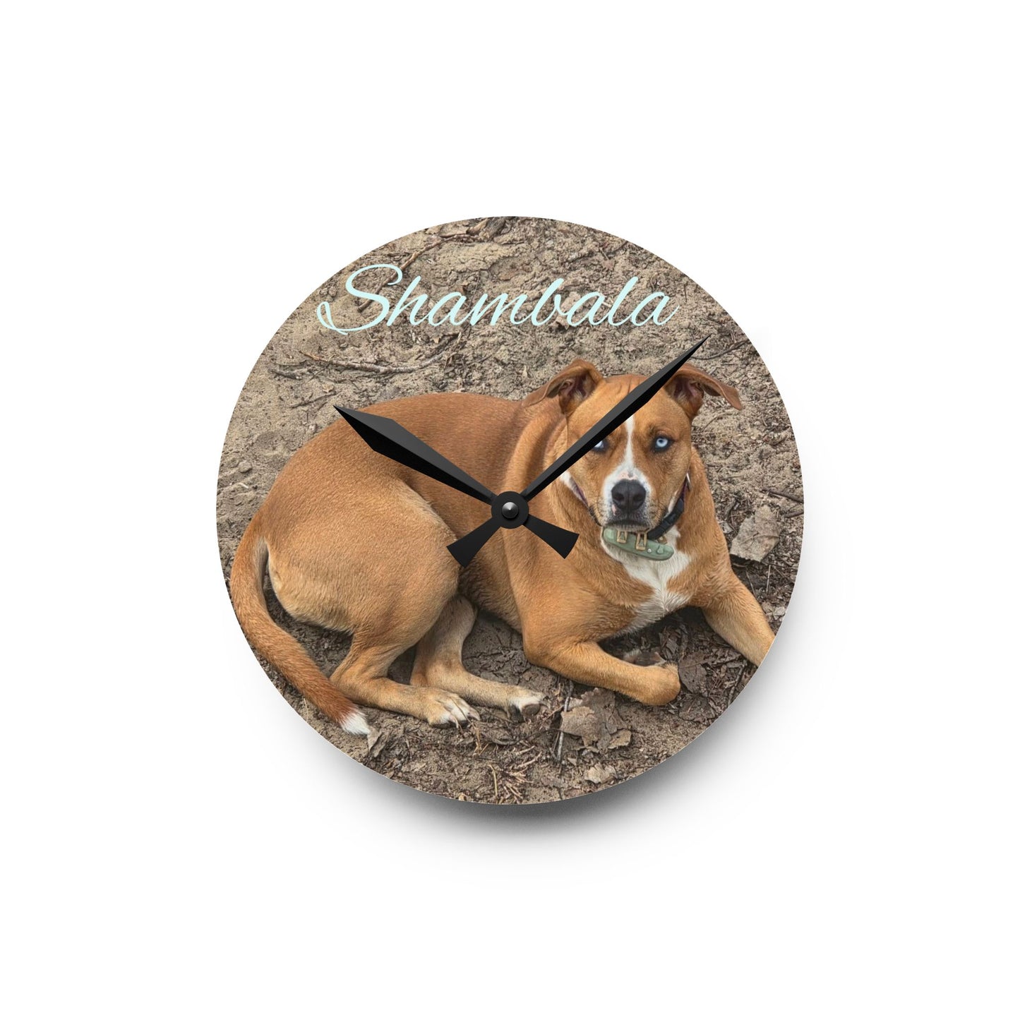 Personalized Dog Photo Acrylic Wall Clock — Custom Name (e.g., Shambala)